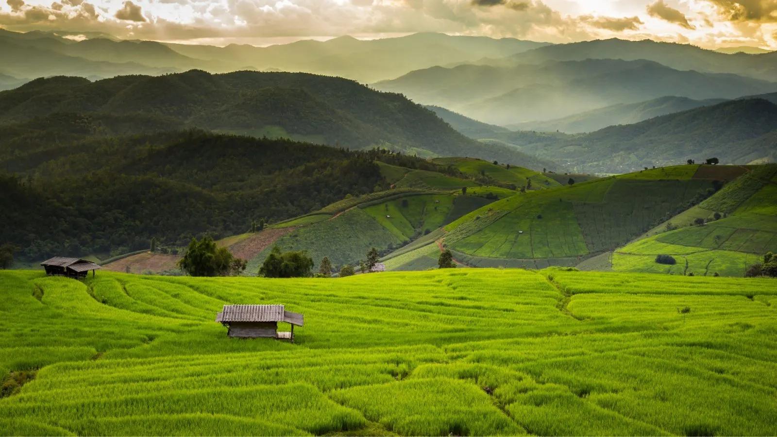 Chiang Mai mountains